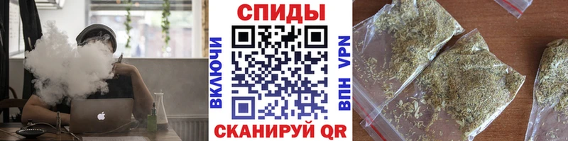 kraken ССЫЛКА  Курчалой  Бутират жидкий экстази 