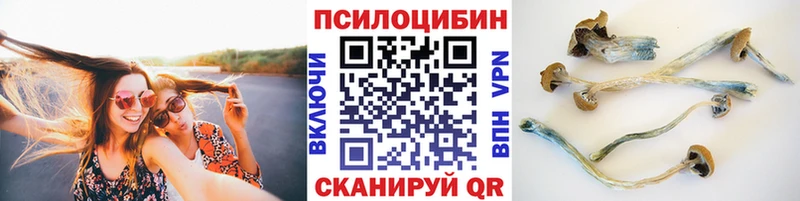 Псилоцибиновые грибы Cubensis Курчалой