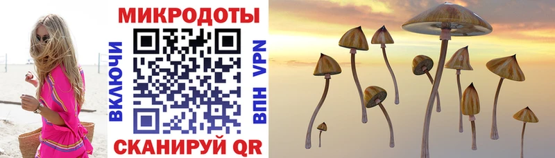 Псилоцибиновые грибы GOLDEN TEACHER  Курчалой 